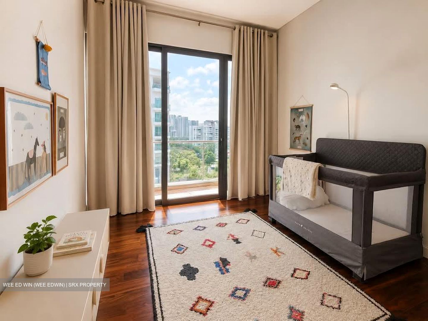 111 Emerald Hill (D9), Apartment #571758591